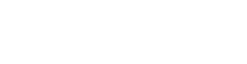 BUSINESS INTELLIGENCE